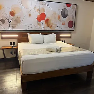 Отель Kavia 5th Avenida (adults Only), Плая-дель-Кармен
